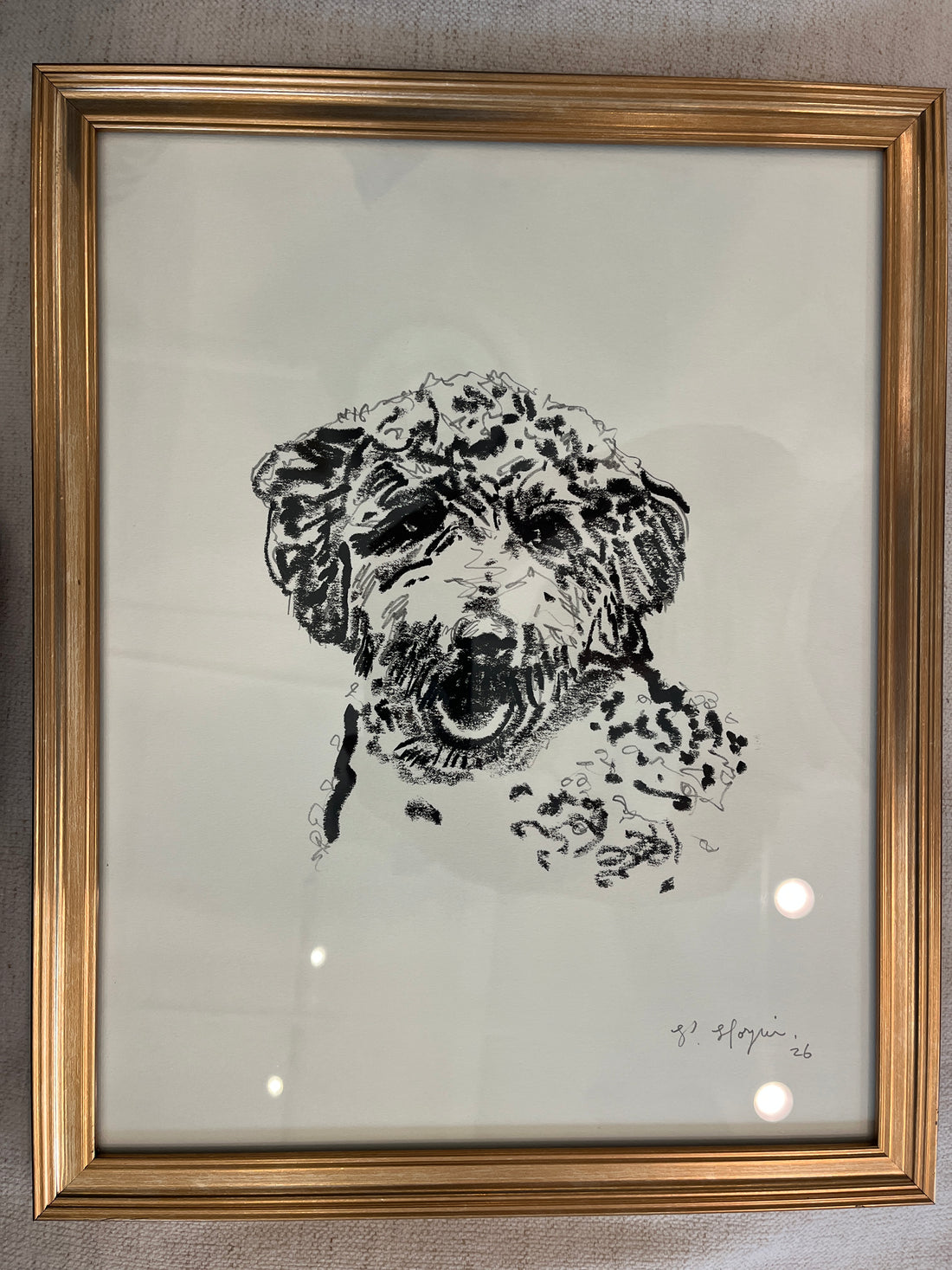Labradoodle Portrait Drawing