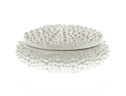 Urchin Ceramic Box with Lid
