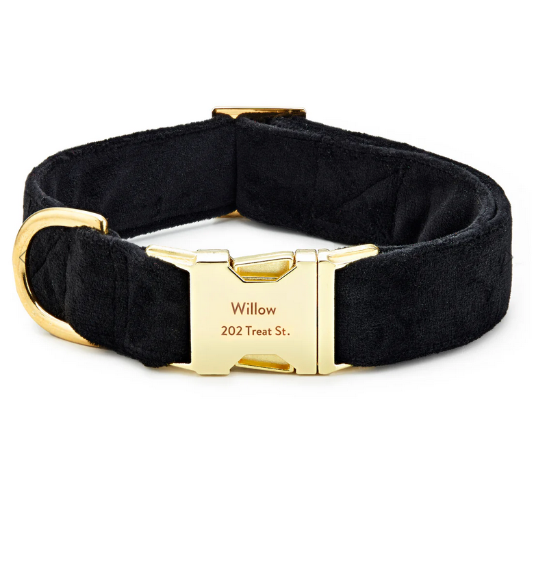Black Velvet Dog Collar