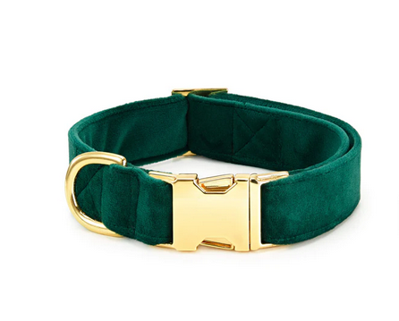 Green Velvet Dog Collar