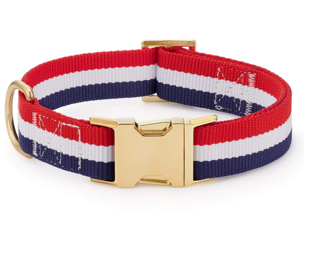 Newport Striped Dog Collar