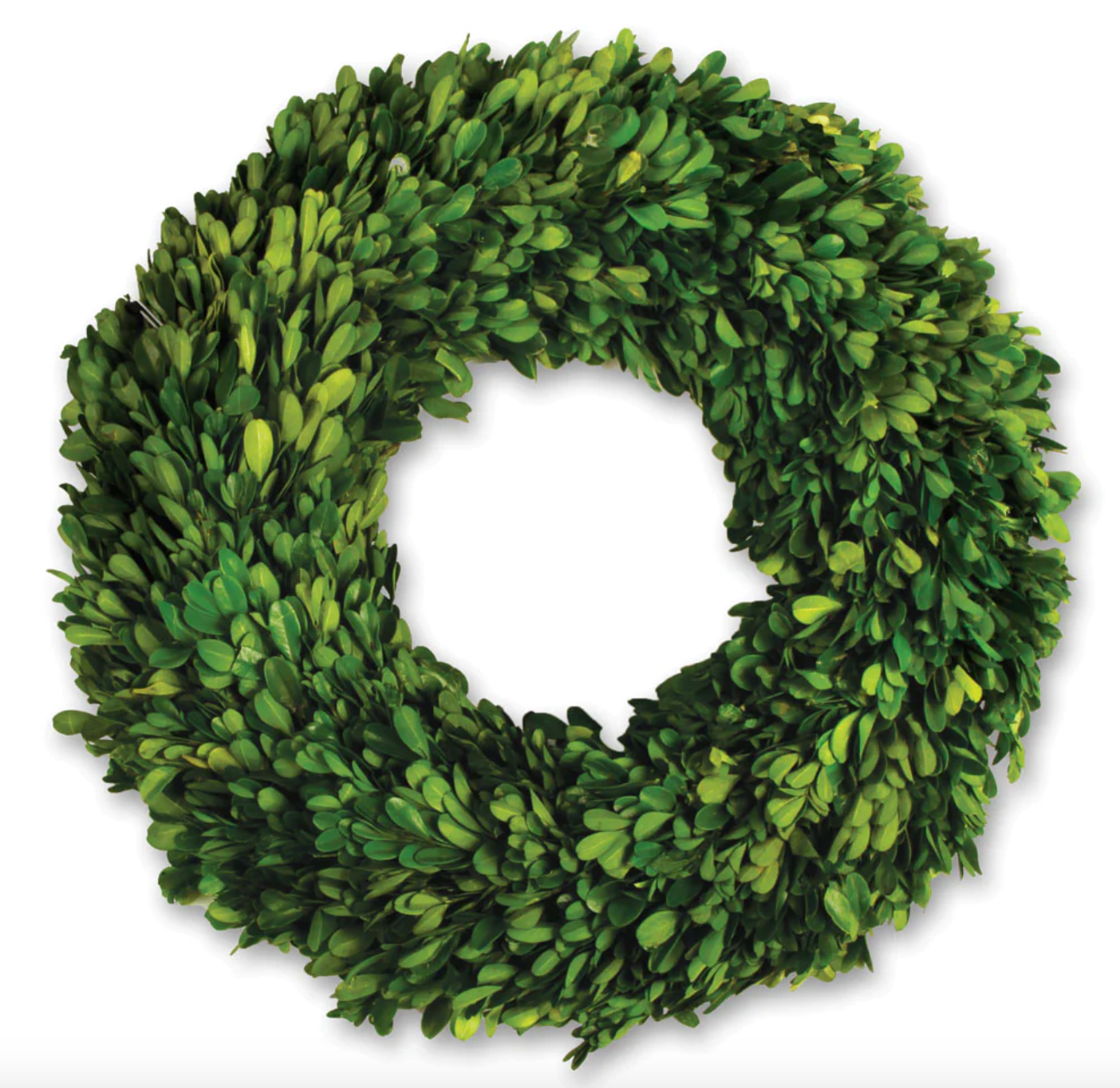16" Boxwood Wreath