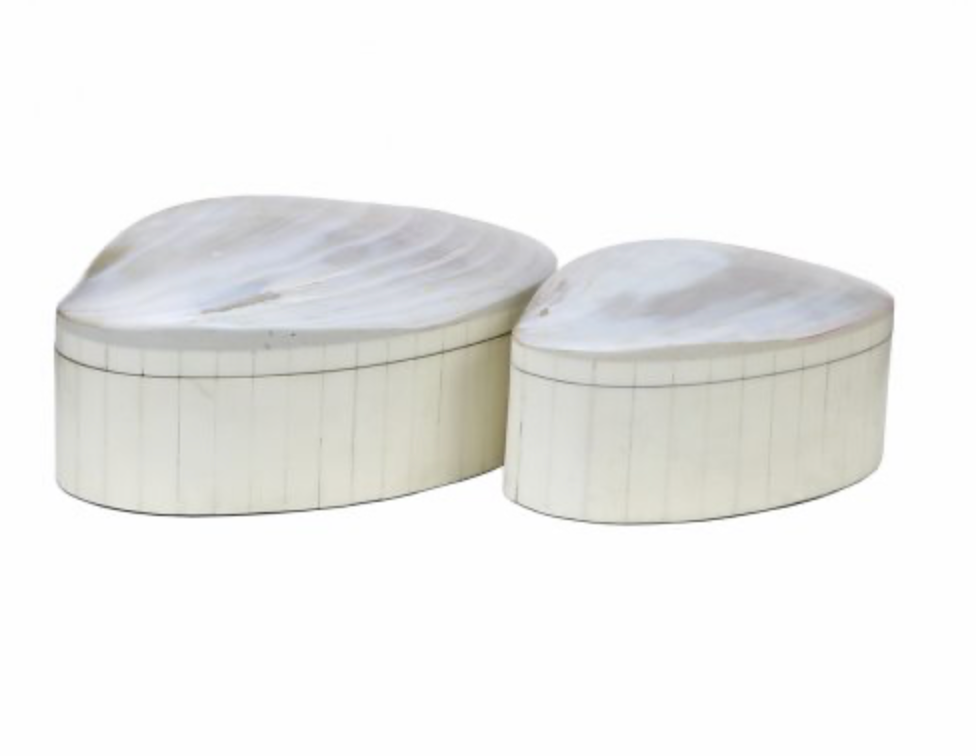 Abalone Shell & Bone Box Large