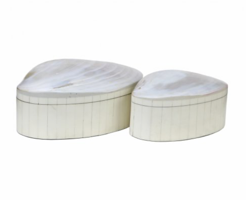 Abalone Shell and Bone Box Small