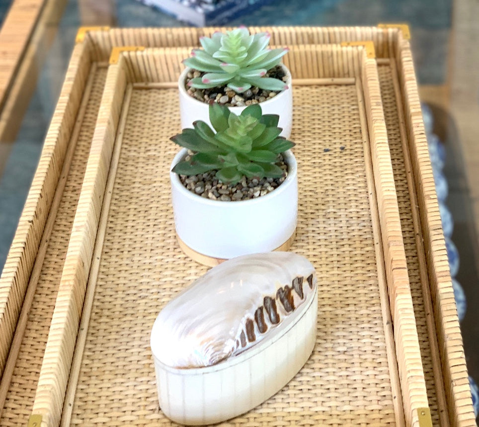Abalone Shell and Bone Box Small