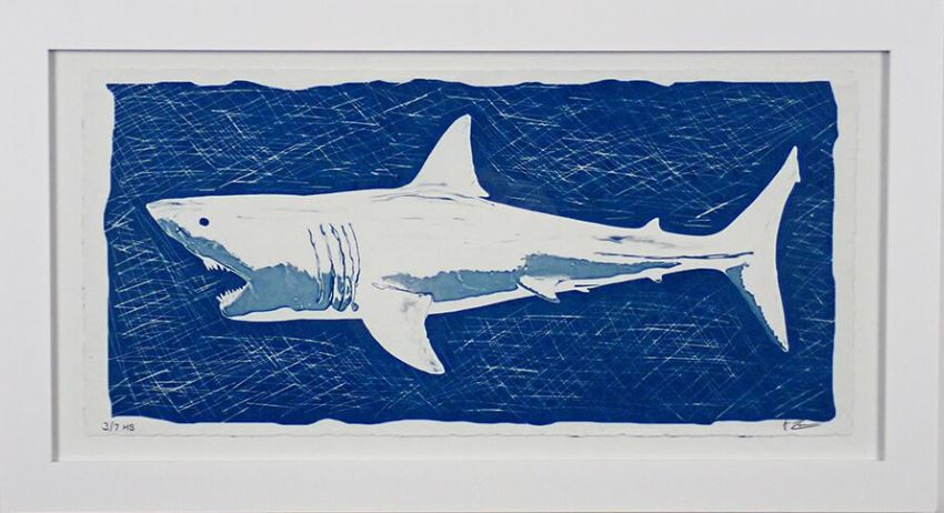 Shark!