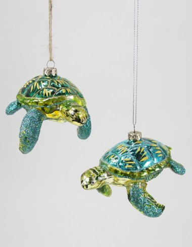 Glitter Turtle