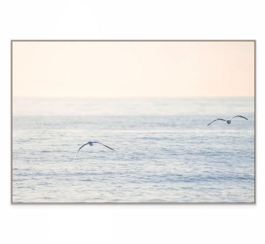 Freedom Hermosa Beach