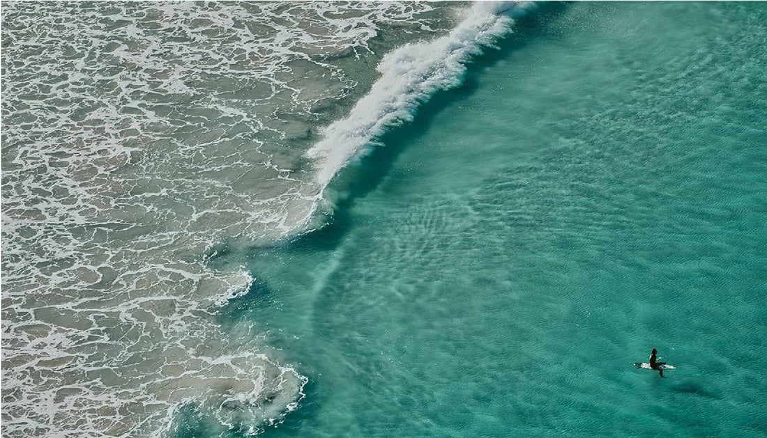 Life Around the Sea