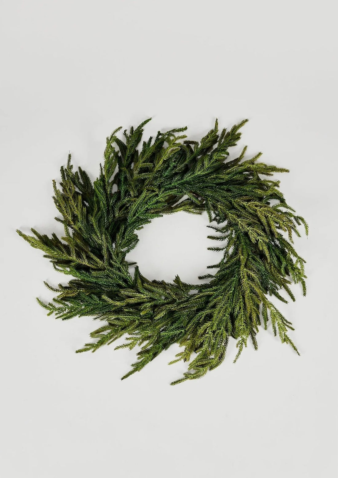 24&quot; Norfolk Pine Wreath