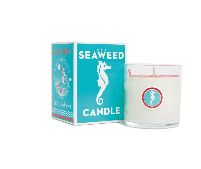 Seaweed Candle