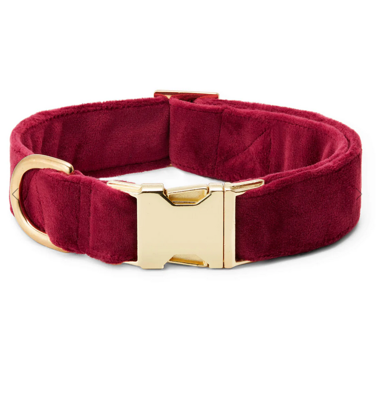 Burgandy Velvet Dog Collar