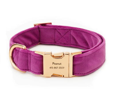 Plum Velvet Dog Collar