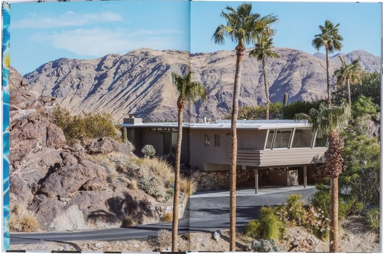 Inside Palm Springs Book