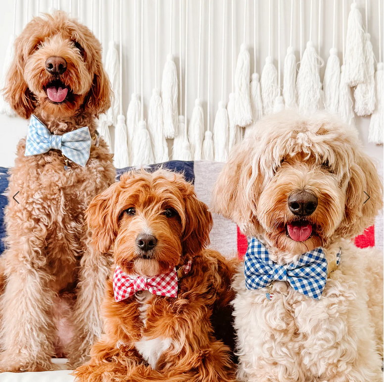 Red Gingham Bow Tie