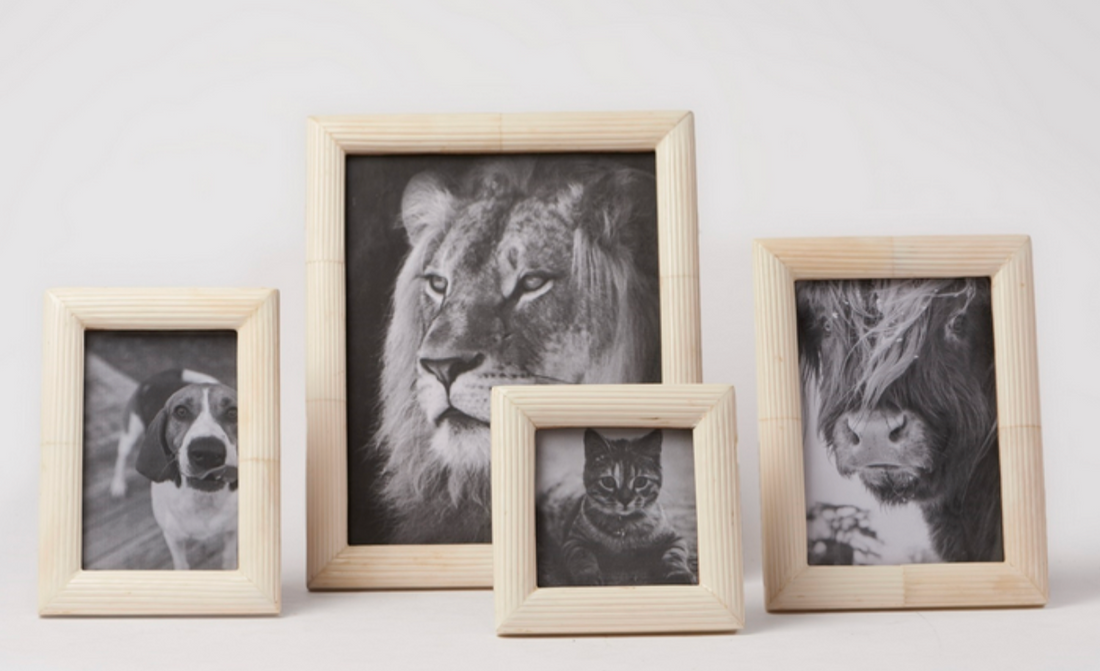 Palomar Etched Frame