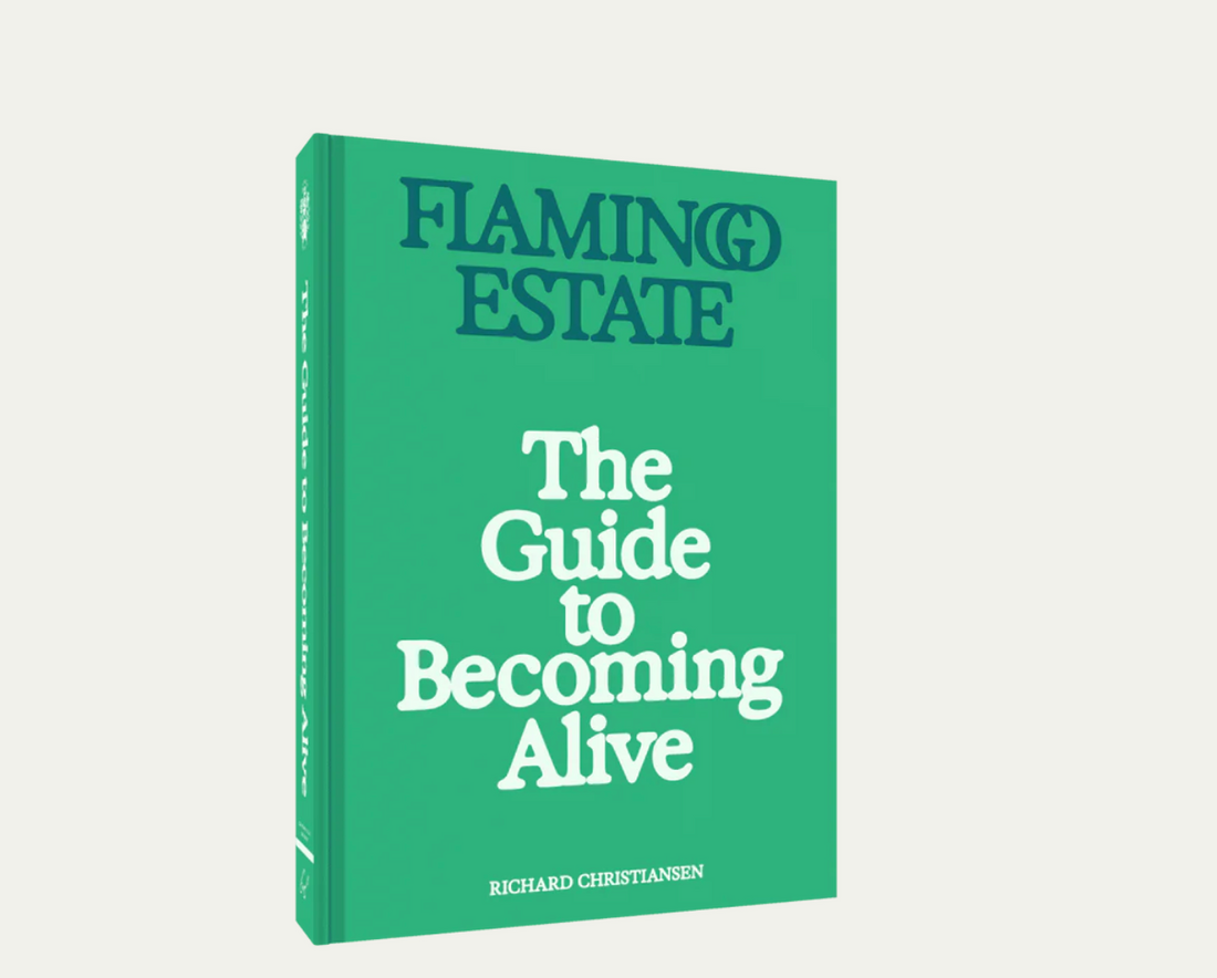 Guide to Becoming Alive Book