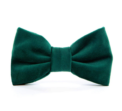 Bow Tie Forest Green Velvet