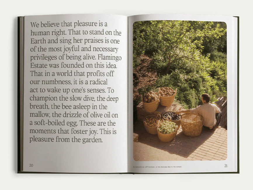 Fridays From the Garden Cookbook