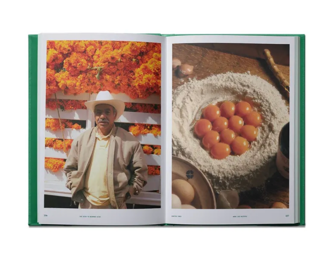 Guide to Becoming Alive Book