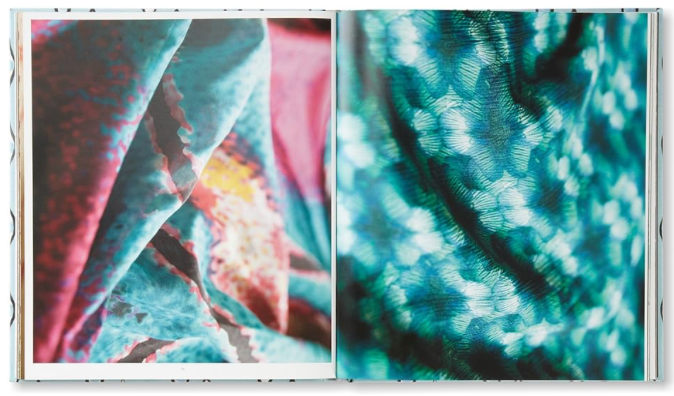 An Eye For Design By Allegra Hicks