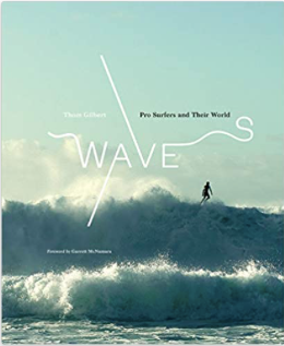 Waves: Pro Surfers and Their World